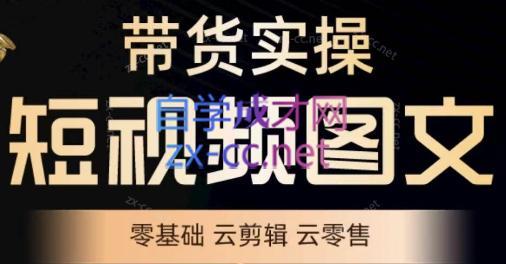 鑫哥·2024零基础短视频带货实操营| 副业网