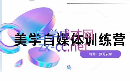 安娜·美学自媒体IP系统课| 副业网