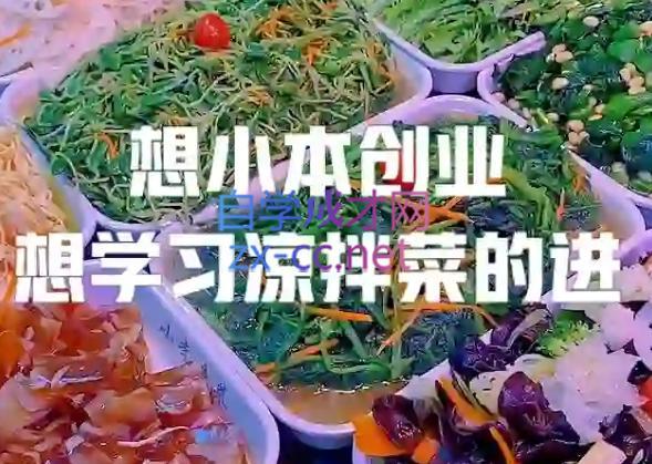 李记·精品凉拌菜系列热卤系列教程| 副业网