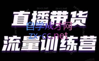 婉婉·直播带货课程系列合集(更新8月)| 副业网