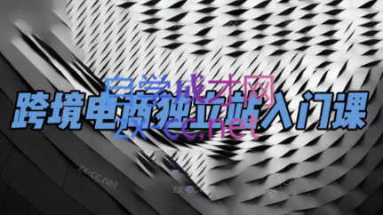 团长·跨境电商独立站入门课(2小时精华)| 副业网