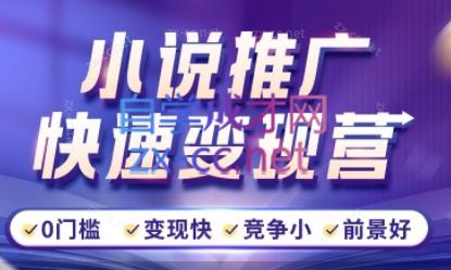 洲洲老师·小说推广快速变现营| 副业网