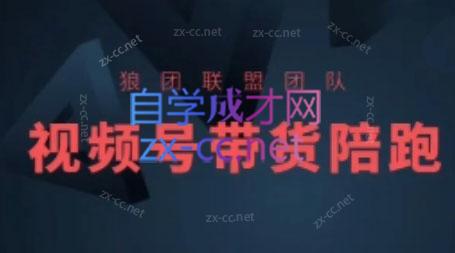 狼团联盟·2024视频号带货| 副业网