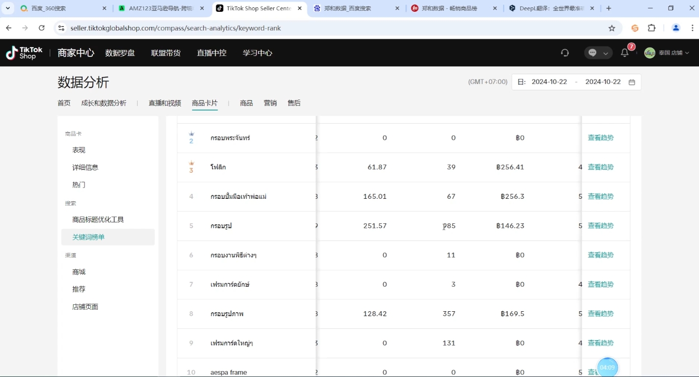 大鱼老师·Tiktok东南亚小店运营| 副业网