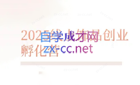 舒老师·珠宝创业实战指南| 副业网