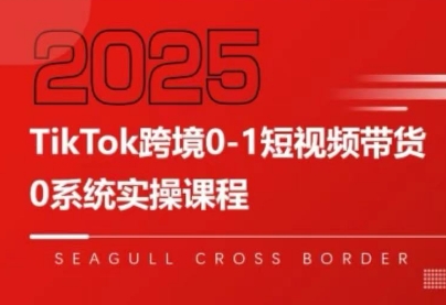 大亿老师·TikTok跨境0-1短视频带货| 副业网