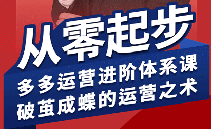 海神·拼多多运营进阶系统课(更新8月)| 副业网