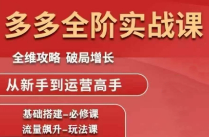 大炮·拼多多全阶实战课程(更新2026)| 副业网