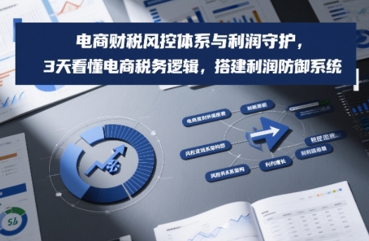 电商财税风控体系与利润守护，3天看懂电商税务逻辑，搭建利润防御系统| 副业网