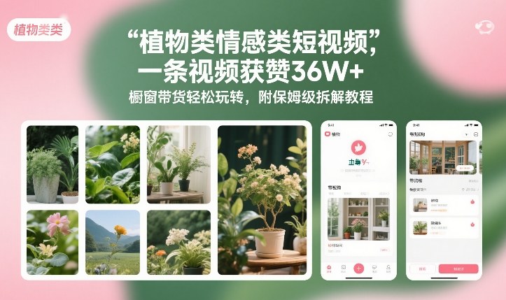 植物类情感类短视频，一条视频获赞36W+，橱窗带货轻松玩转，附保姆级拆解教程| 副业网