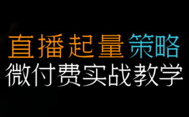 半野老师·直播带货起量与微付费必学课视频号(更新2026)| 副业网