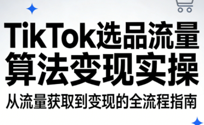 TikTok选品流量算法变现实操| 副业网
