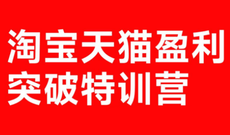 玺承·淘宝天猫盈利突破特训营(25年12月线下课)【音频+字幕】| 副业网