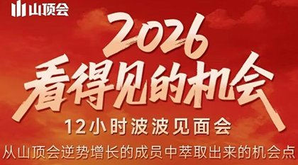 波波·2026看得见的机会12小时波波见面会(东莞线下课2月1日)| 副业网