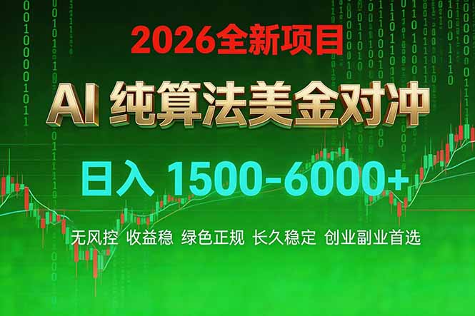 2026 全新美金对冲项目，不套平台赠金，不封号，纯算法对冲，日入 1500-6000+| 副业网