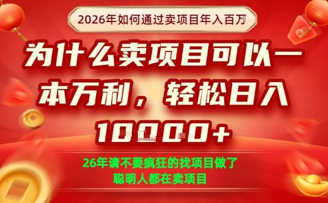 一单净利润1K+，26年想年入100个W，死磕卖项目就够了【揭秘】| 副业网