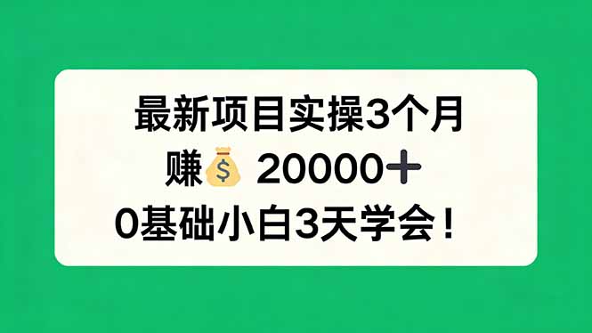 最新项目实操3个月，赚钱20000+，0基础小白3天学会！| 副业网