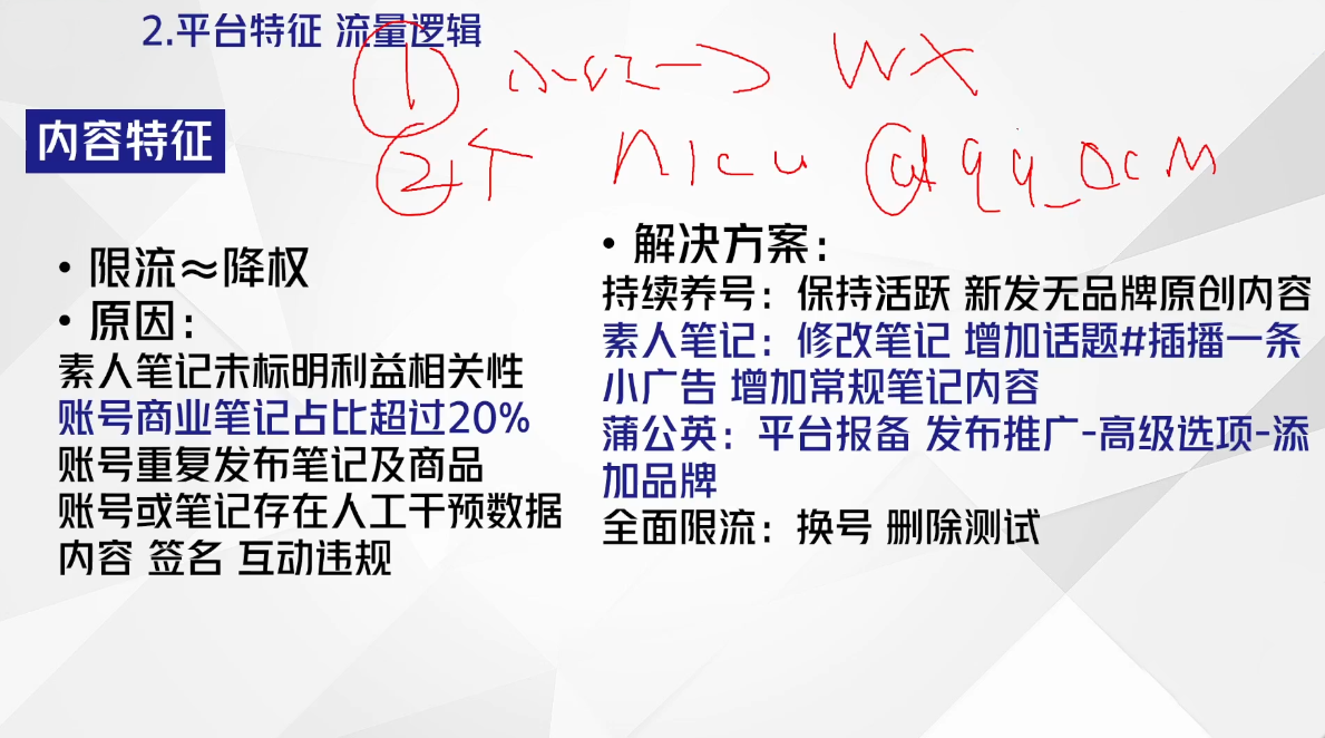 尼采老师·小红书爆单系列课| 副业网