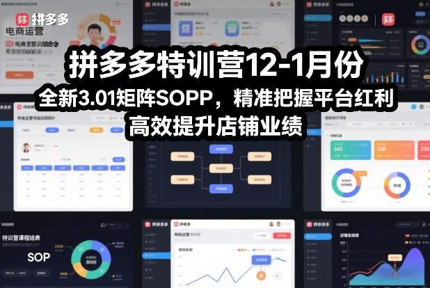 拼多多特训营12-1月份，全新3.01矩阵Sop，精准把握平台红利，高效提升店铺业绩| 副业网