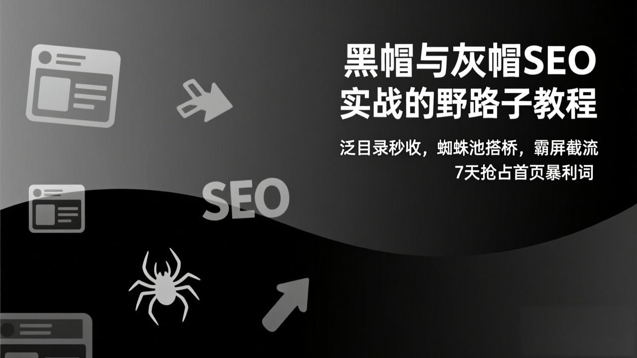 黑帽与灰帽SEO实战的野路子教程：泛目录秒收，蜘蛛池搭桥，霸屏截流，7天抢占首页暴利词| 副业网