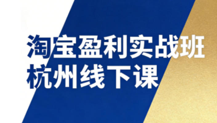 淘宝盈利实战班杭州线下课12月26-28日(音频+字幕)，帮你掌握SOP流程+12门核心技术| 副业网