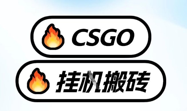 真全网独家CSGO挂G，最新玩法,单日捡漏1K+，不用电脑，不用打游戏【揭秘】| 副业网