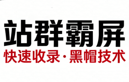 SEO野路子实战全集:快速收录、站群霸屏、黑帽技术 SEO野路子实战全集:快速收录、站群霸屏、黑帽技术